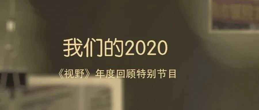 【视野】我们的2020