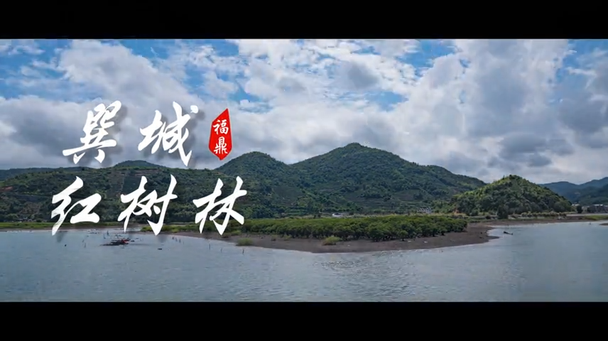 【短视频】--- -巽城红树林