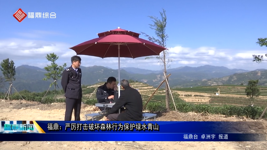 福鼎：严厉打击破坏森林行为保护绿水青山