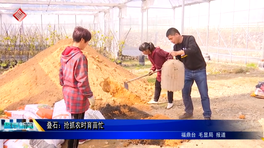 叠石：抢抓农时育苗忙
