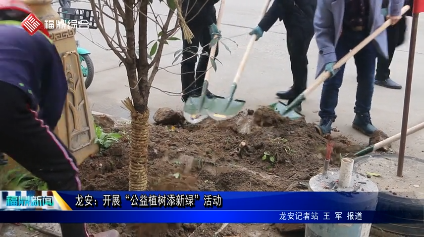 龙安：开展“公益植树添新绿”活动