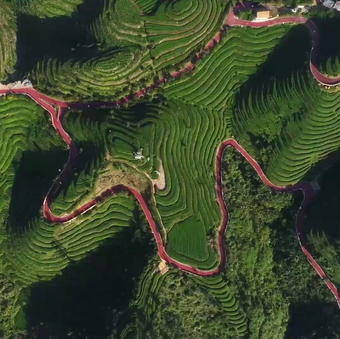 瞰中国｜绿水青山闽中情