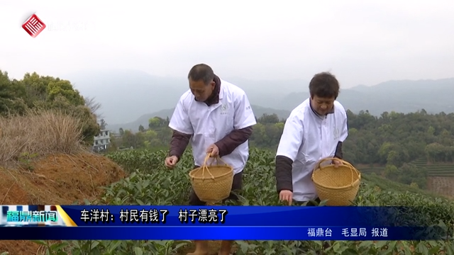 车洋村：村民有钱了  村子漂亮了