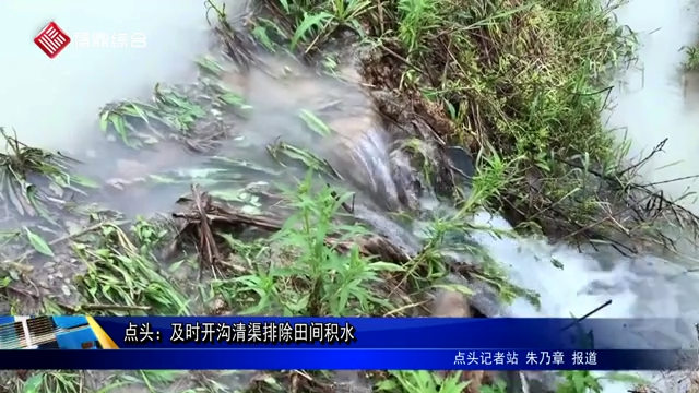 点头：及时开沟清渠排除田间积水