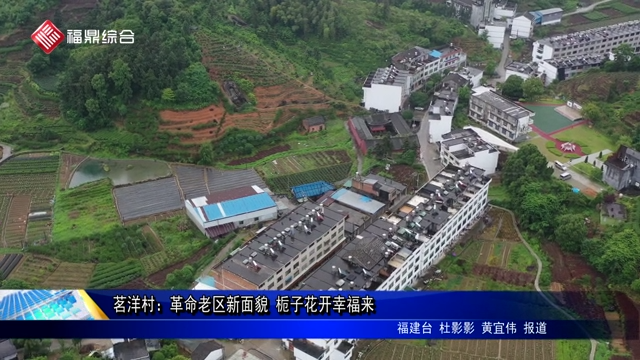 茗洋村：革命老区新面貌 栀子花开幸福来