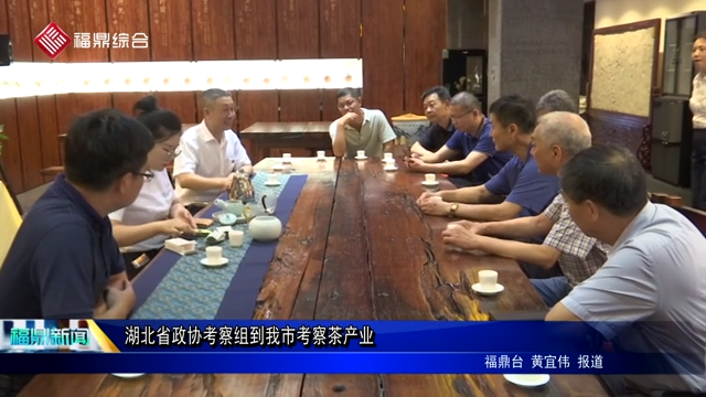 湖北省政协考察组到我市考察茶产业