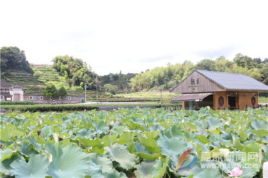 柏柳村：美丽庭院点“靓”乡村幸福生活