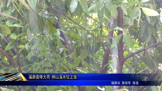 福鼎普降大雨 桐山溪水位上涨