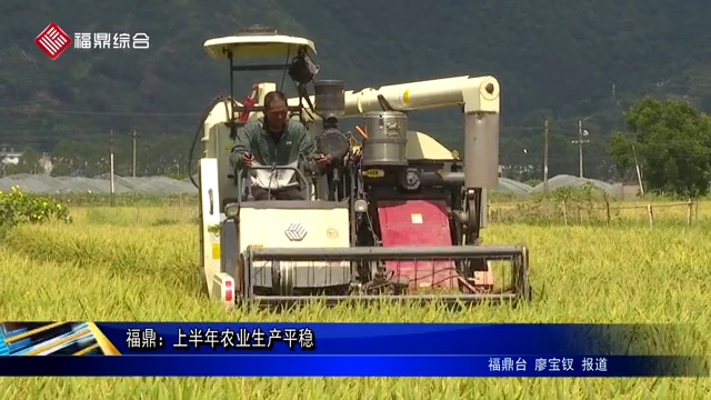 福鼎：上半年农业生产平稳