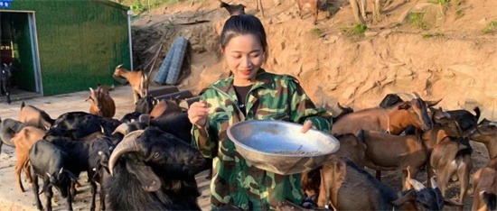 女大学生回乡当“羊倌” 只是为了这样一个愿望…