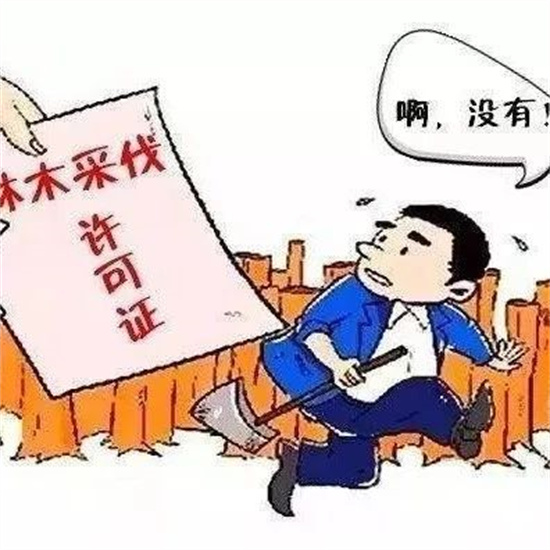 这种行为，违法！福鼎这名男子获刑……