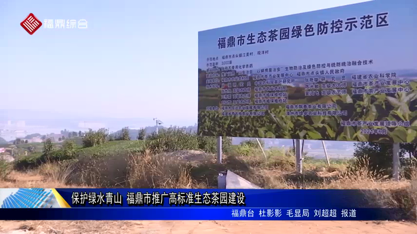 保护绿水青山 福鼎市推广高标准生态茶园建设