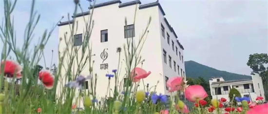 绿盈乡村丨佳山村：“生态绿”添彩“畲村美”