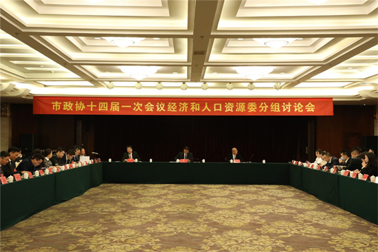 林青参加市政协十四届一次会议经济与人口资源委分组讨论