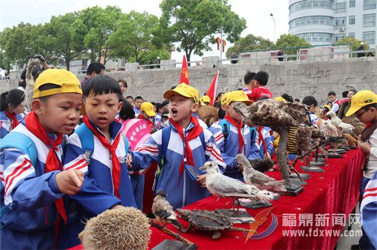 福鼎两项志愿服务项目荣获省级奖项