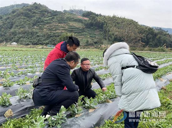 200多名农技人员“下沉”一线 指导做好防寒防冻工作