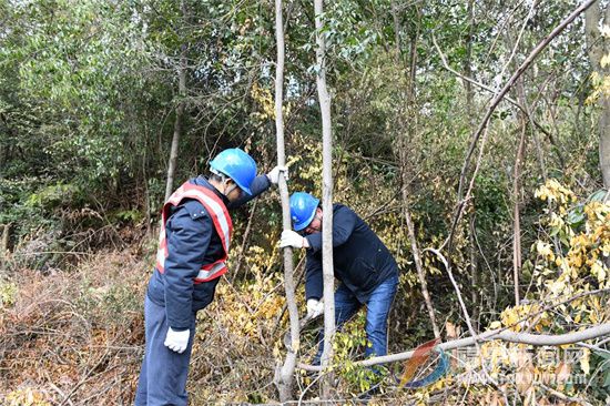 市供电公司：抗击寒潮 严守岁末年初电网“安全关”