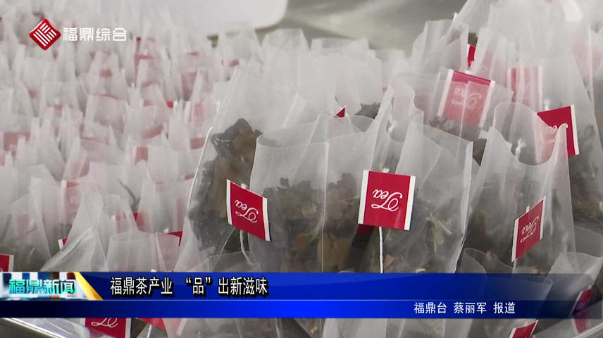 福鼎茶产业 “品”出新滋味