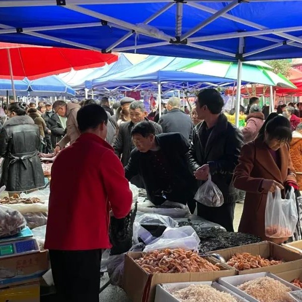 【网络中国节·春节】要过年了，走，带你赶个农村大集！