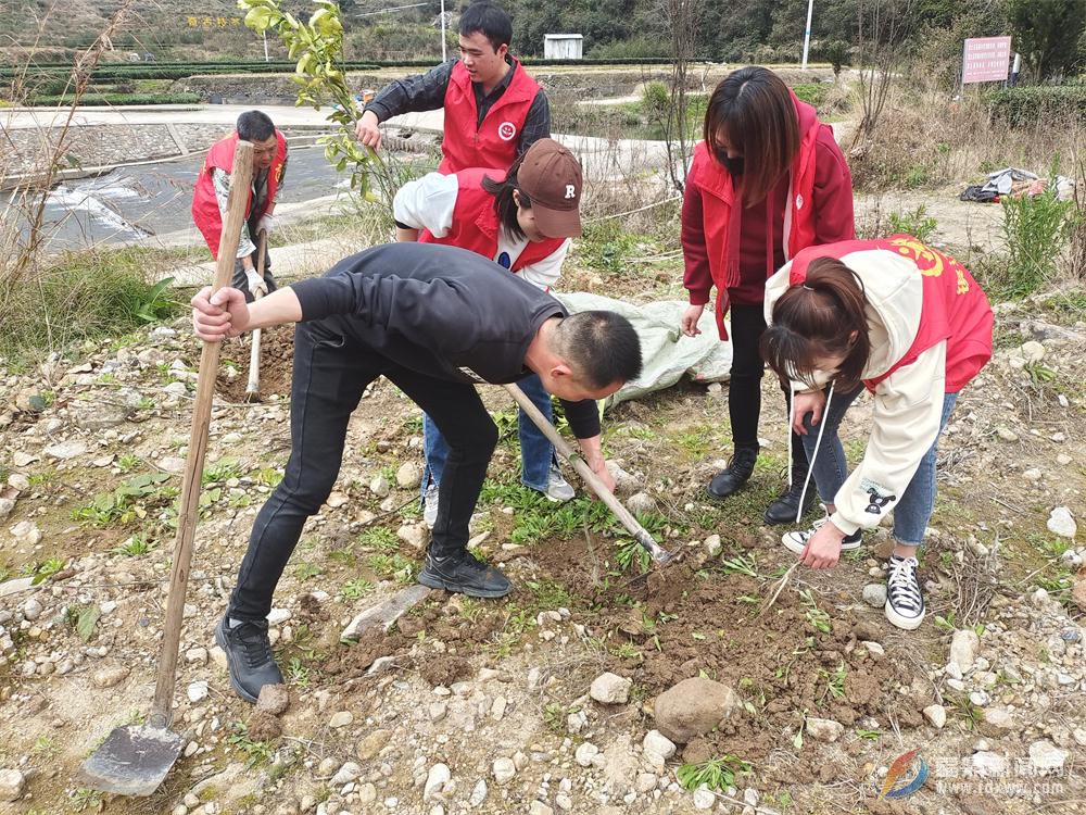 植树节：点头志愿者开展植树护绿活动