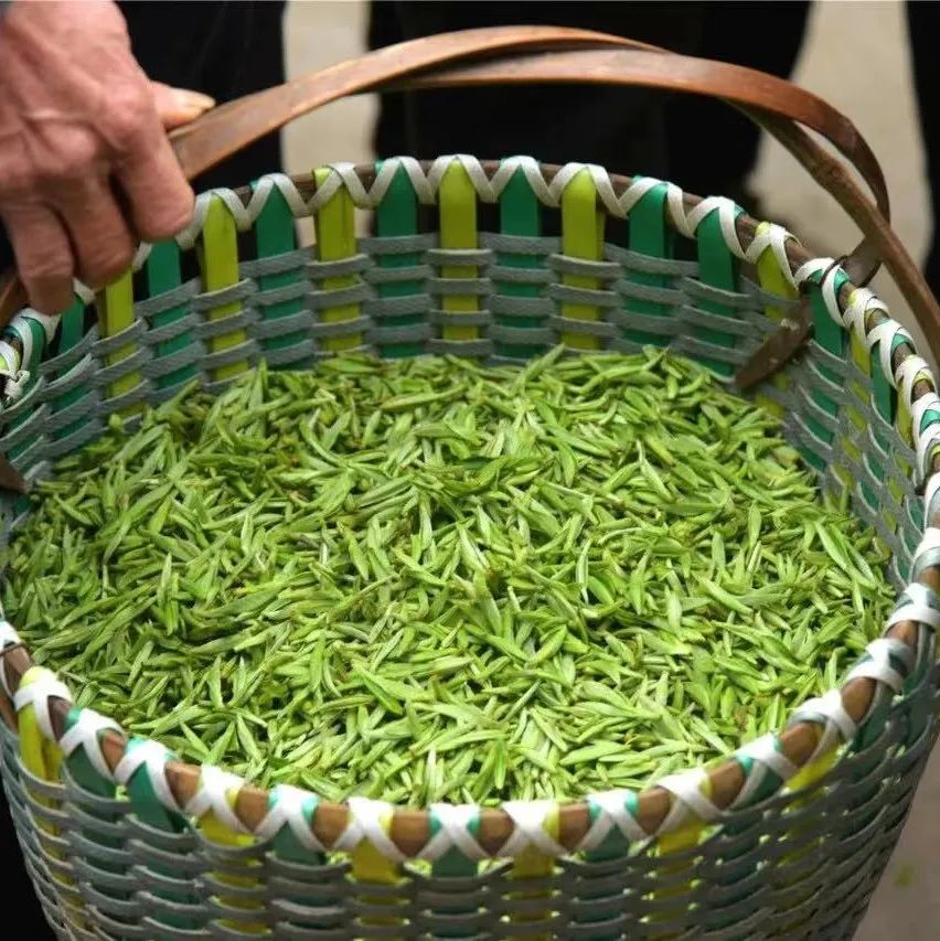 注意！春茶交易期间，有这些防疫要求→