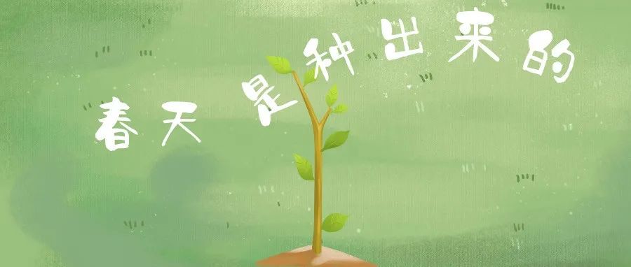 不负好春光！一起植树吧！