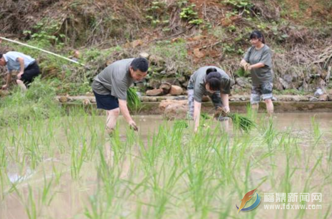 硖门乡开展“我来认领一亩田”实践活动