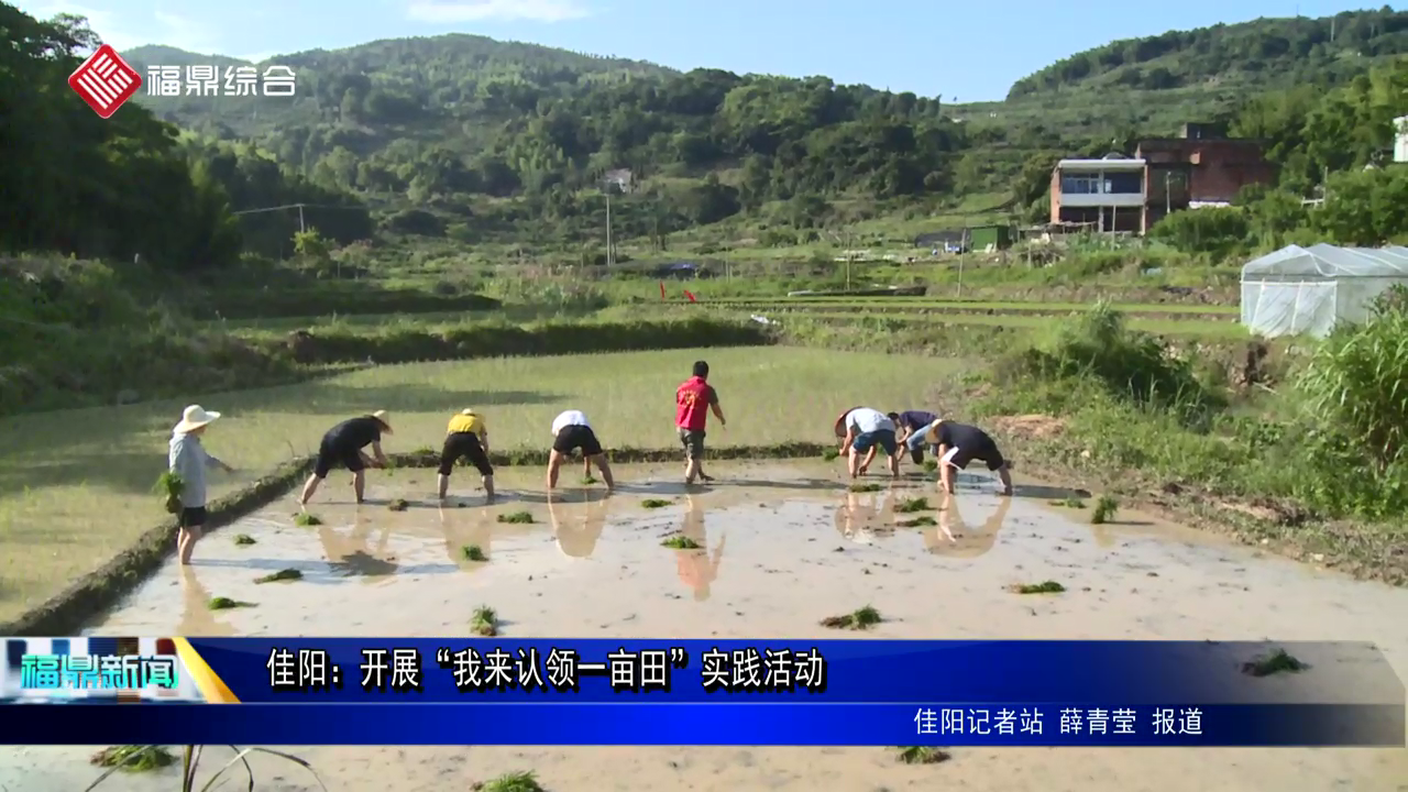 佳阳：开展“我来认领一亩田”实践活动