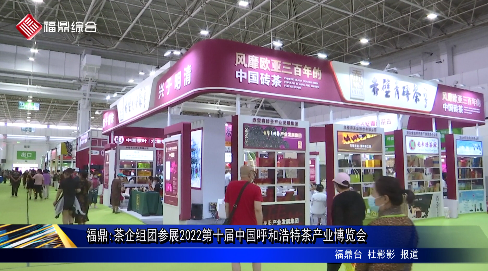 福鼎:茶企组团参展2022第十届中国呼和浩特茶产业博览会