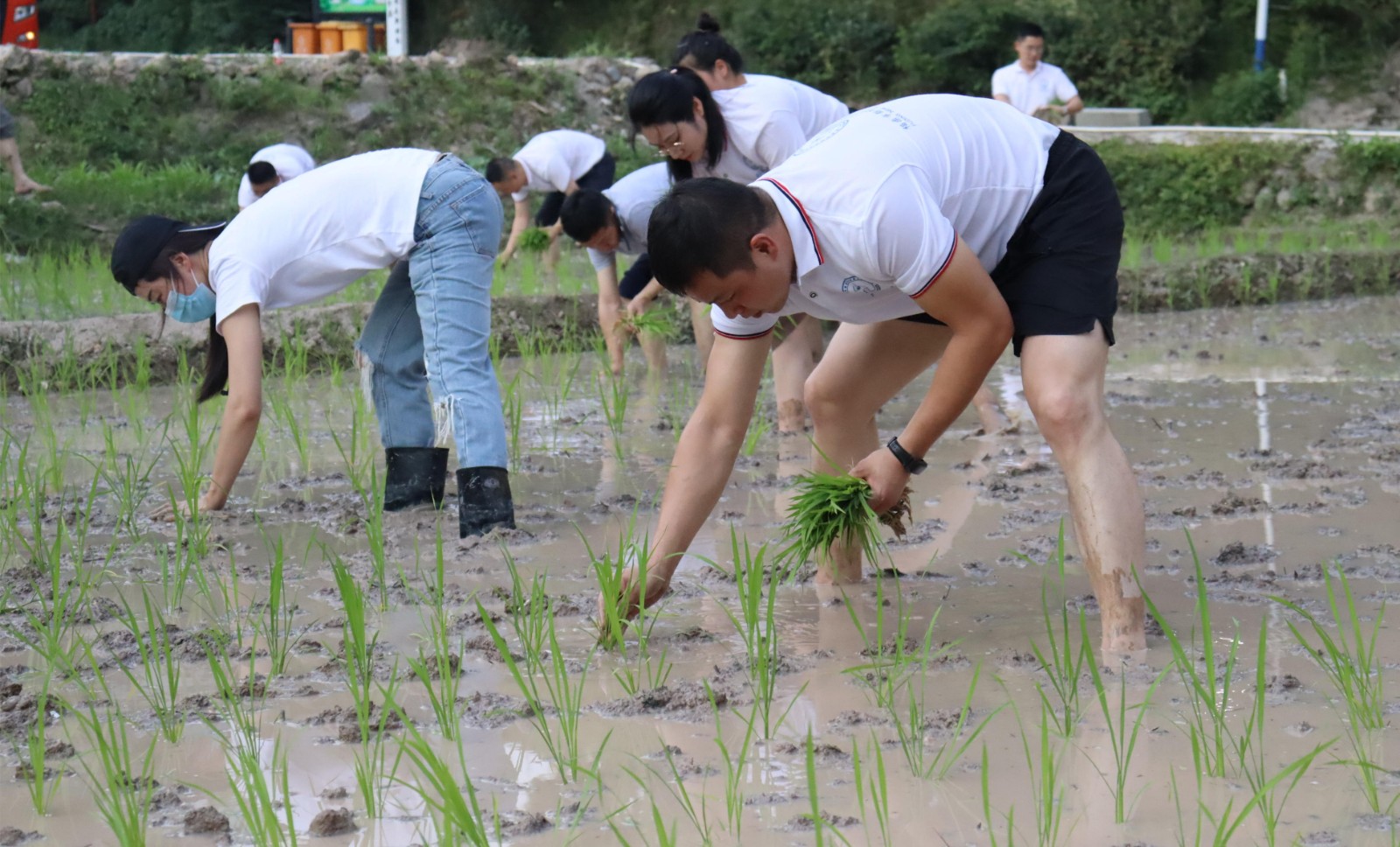 “我来认领一亩田” 助推全市乡村振兴