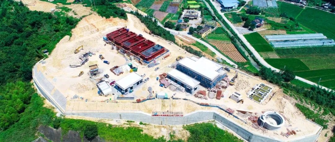 福鼎高质量实现“半年红”！