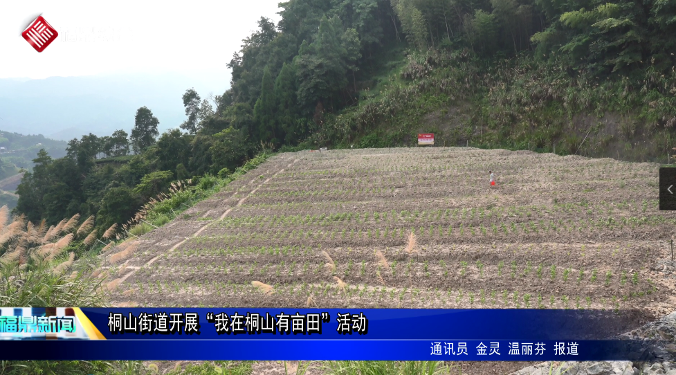 桐山街道开展“我在桐山有亩田”活动