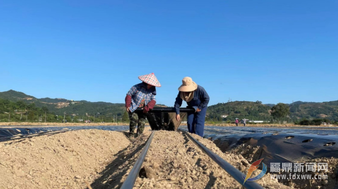 抢抓时机 秋季农业生产进入高峰