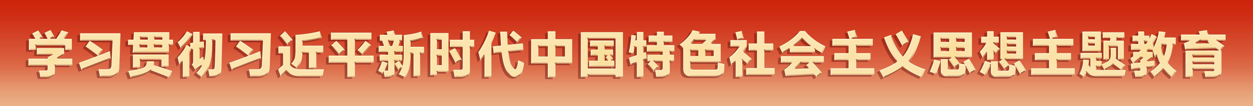 “主题教育