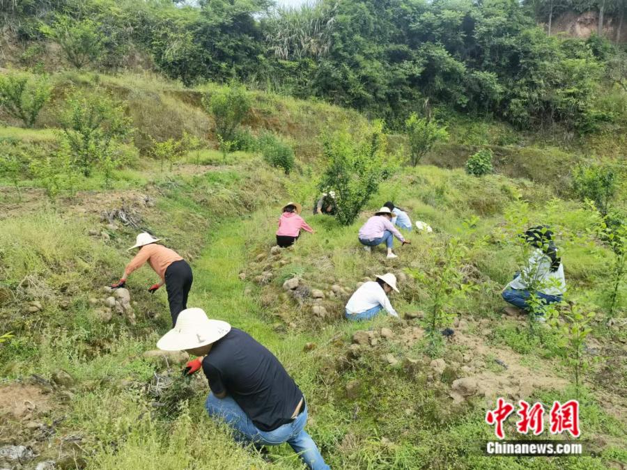 “四下基层”在宁德：聆听年轻干部讲述“调查研究下基层”故事