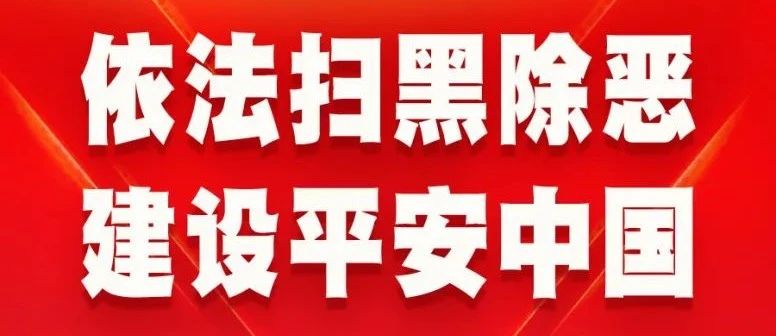 一图看懂《中华人民共和国反有组织犯罪法》