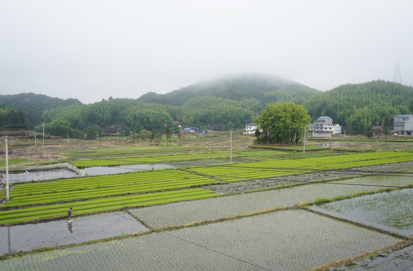 磻溪镇整治千亩高山撂荒地，复耕“希望田”
