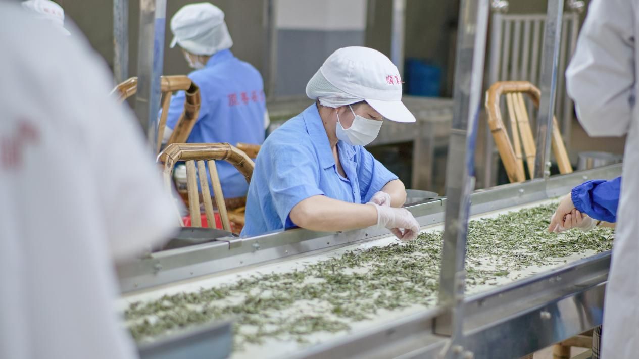 褒扬诚信典型丨走进守合同重信用企业——福建顺茗道茶业有限公司