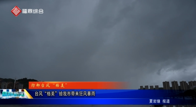台风“格美”给我市带来狂风暴雨