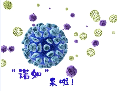 突然上吐下泻？福鼎疾控最新提醒！