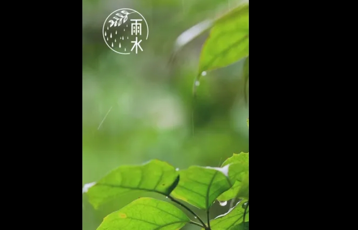 丝丝雨水滋润心田，春回大地万物更新。雨水节气，让我们共同期待美好的未来，享受大自然的恩赐。