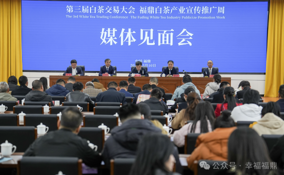 关注！福鼎这场媒体见面会透露信息有点多！