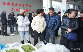 2025年福鼎白茶大数据溯源平台今日正式开启！