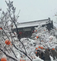 你在北方看3月的雪，我在福鼎……