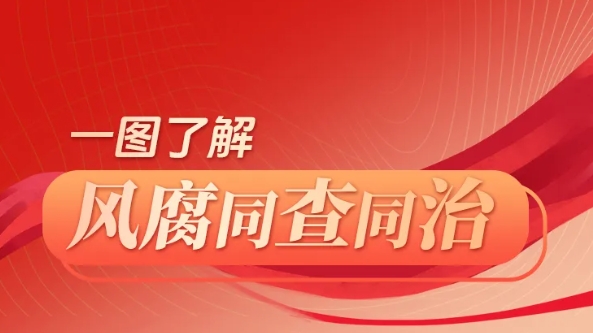 一图了解｜何为风腐同查同治？