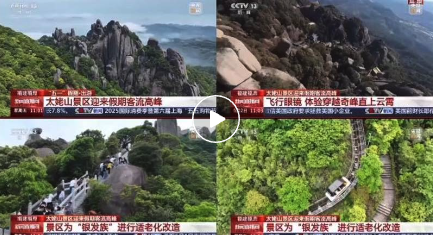 爱上福鼎的理由+1+1+1……