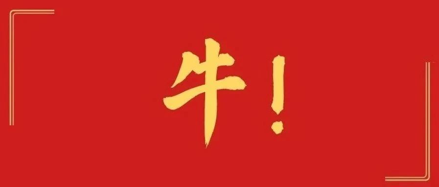 福鼎实火！又双叒叕上央视了！