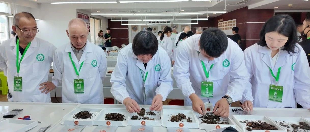 首届全国福鼎老白茶茶王赛开赛！