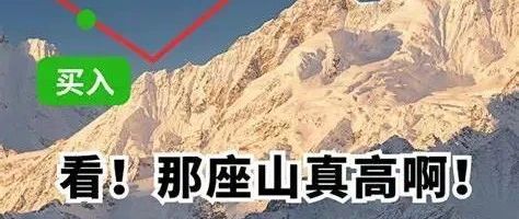 当“金牌导师”说要带你飞，小心你的本金先“跌停”