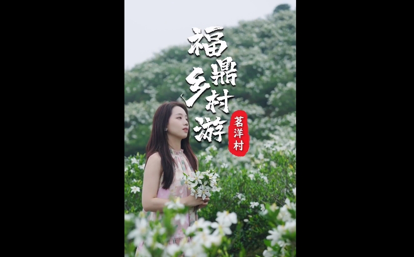 "步步生香雪 回眸栀子岭"，栀子花海等您来打卡！